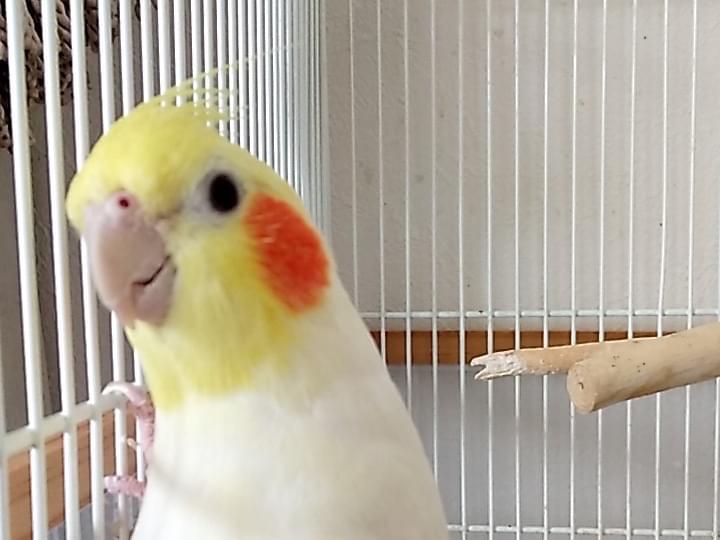 まるちゃん まるちゃん