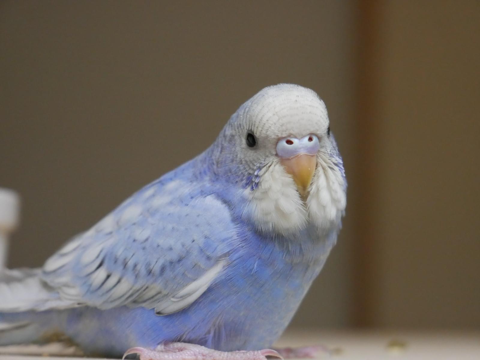 そらちゃん そらちゃん