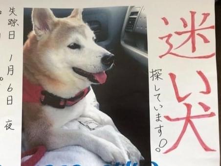 なっぱちゃん なっぱちゃん