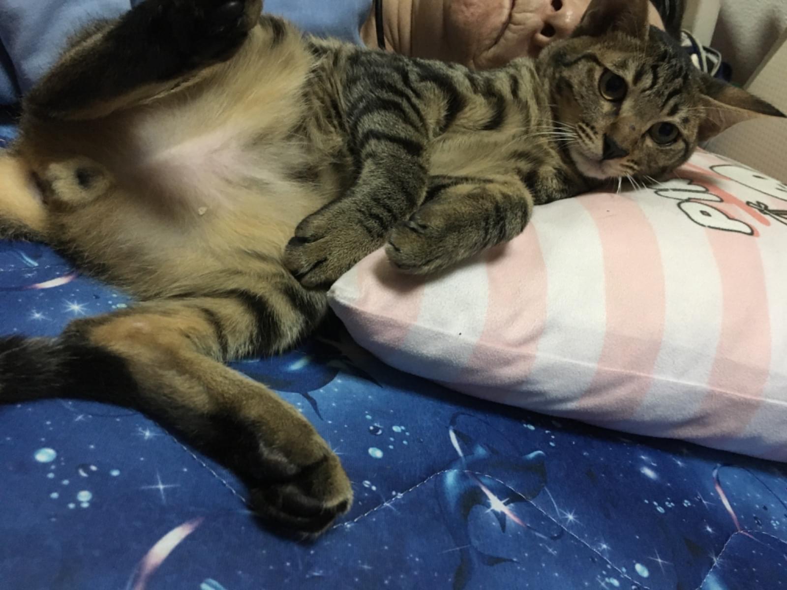 はるきちゃん はるきちゃん