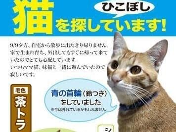 ひこぼしちゃん ひこぼしちゃん