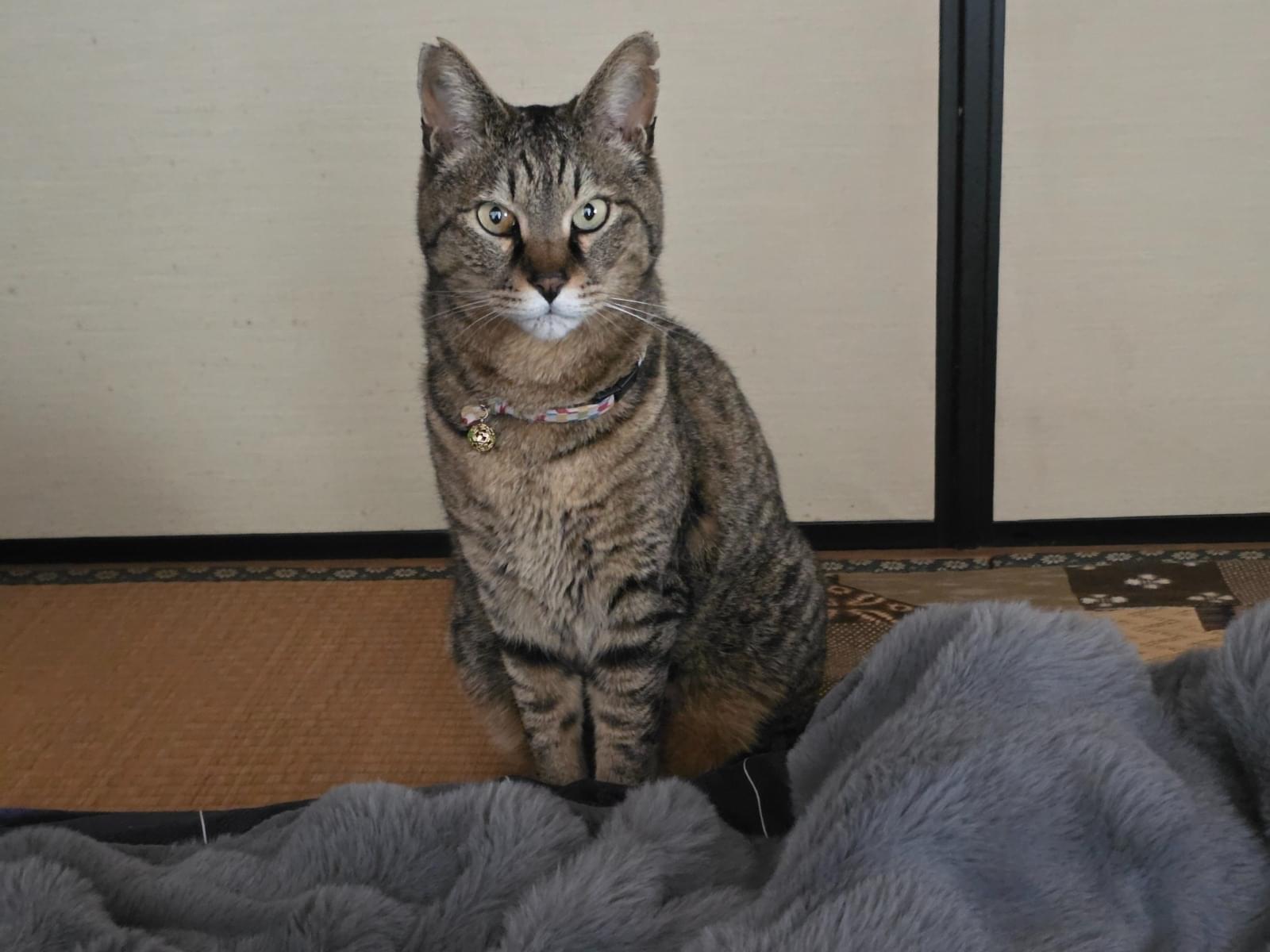 ぽておちゃん