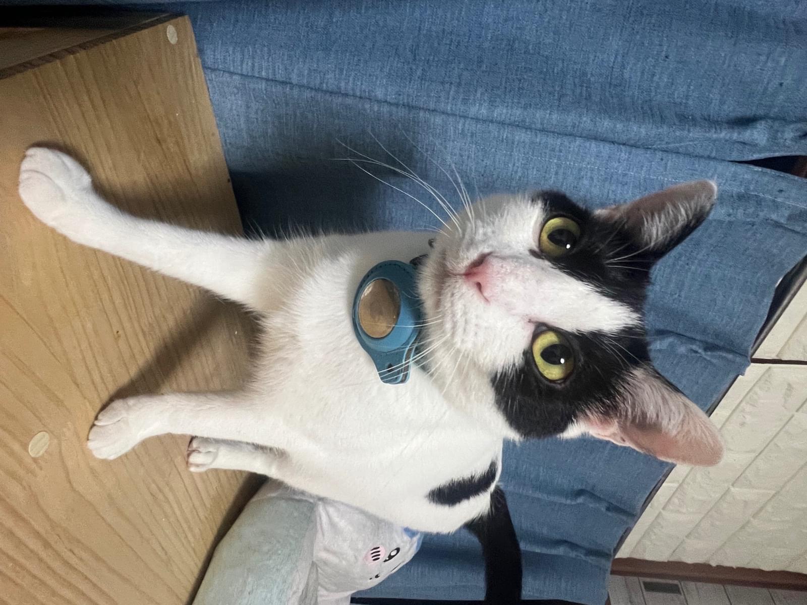 ソグムちゃん ソグムちゃん