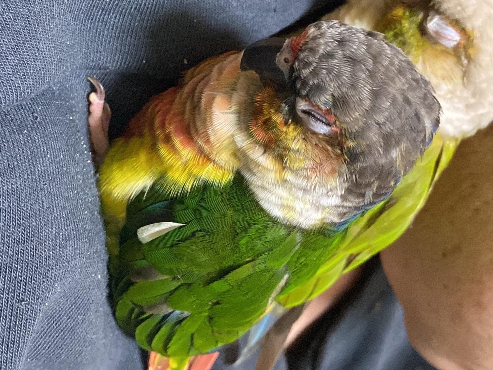 まめ
