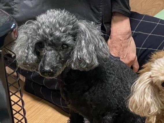 ララちゃん ララちゃん