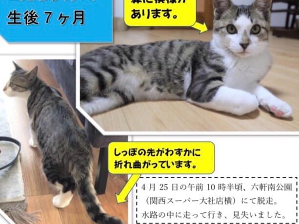 こたちゃん こたちゃん