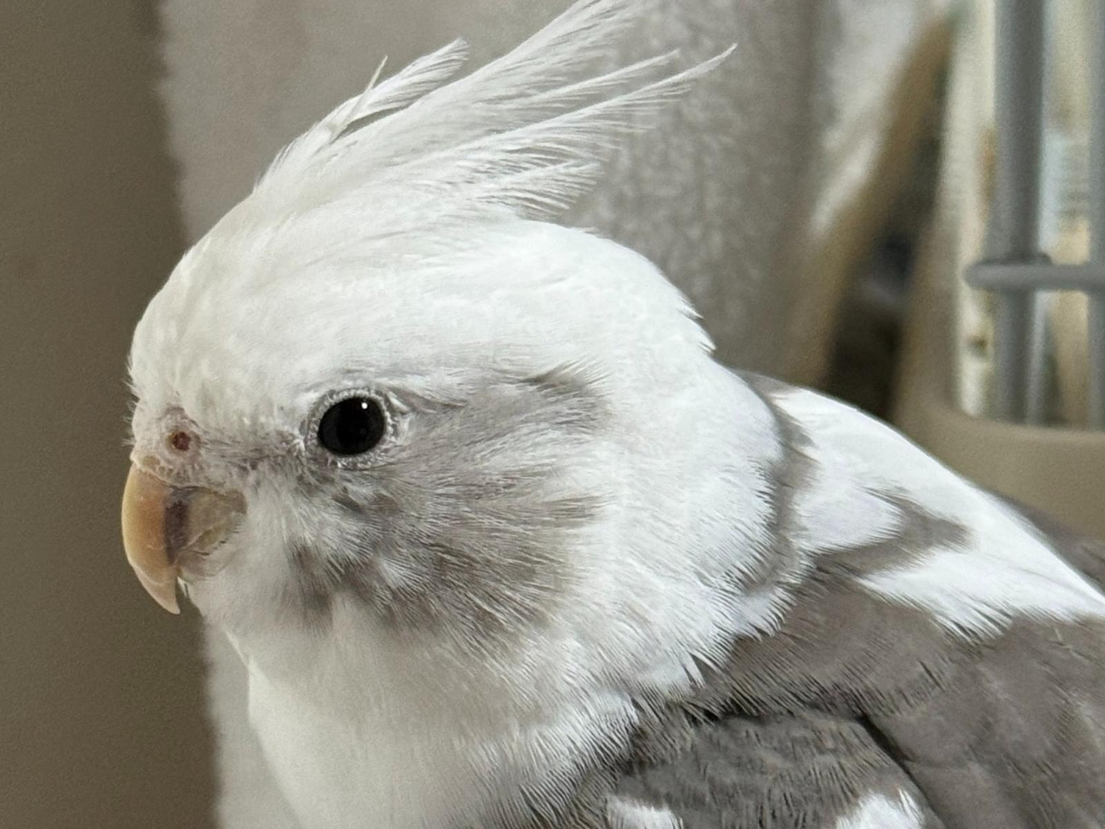 りっちゃん りっちゃん