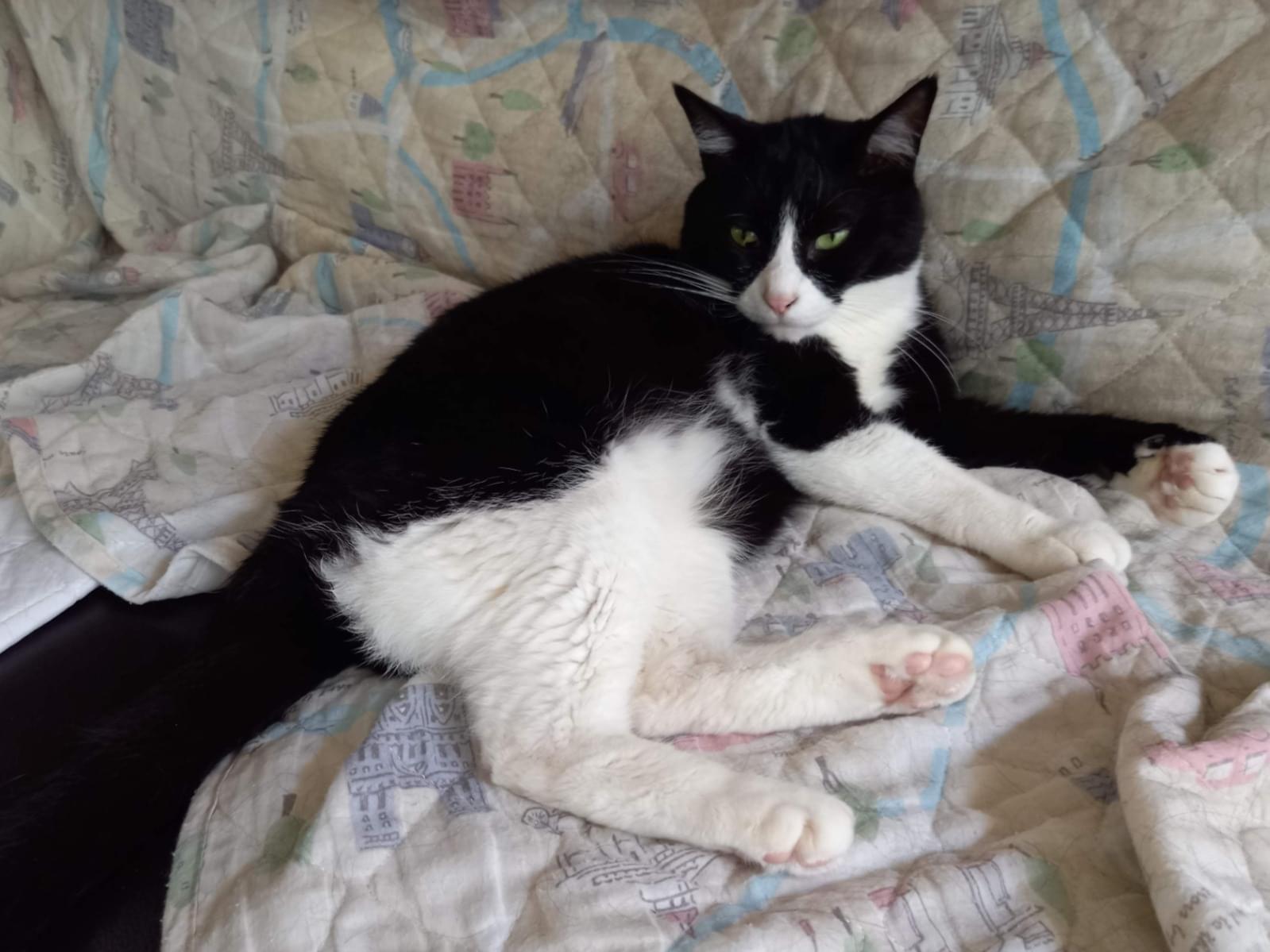 ソウスケちゃん ソウスケちゃん