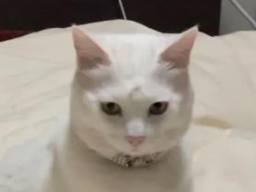 リクちゃん リクちゃん