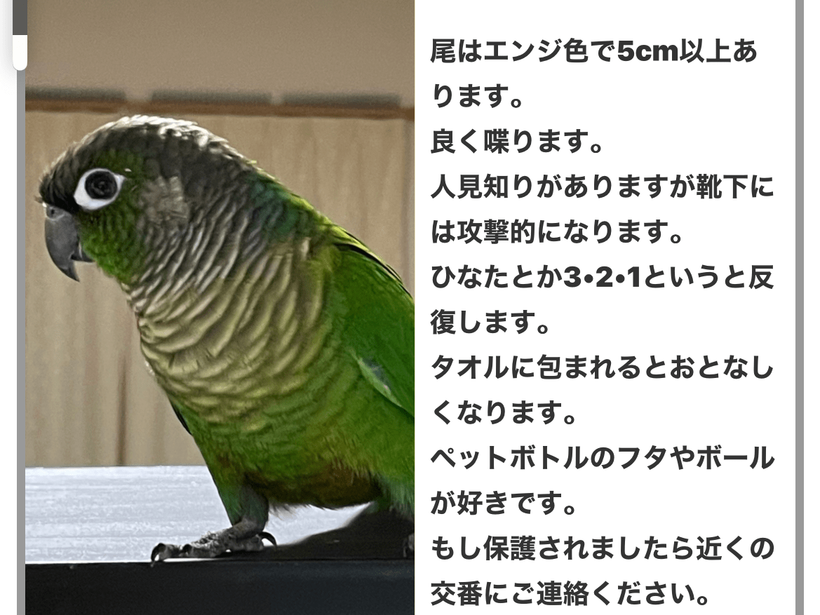 ひなたちゃん ひなたちゃん