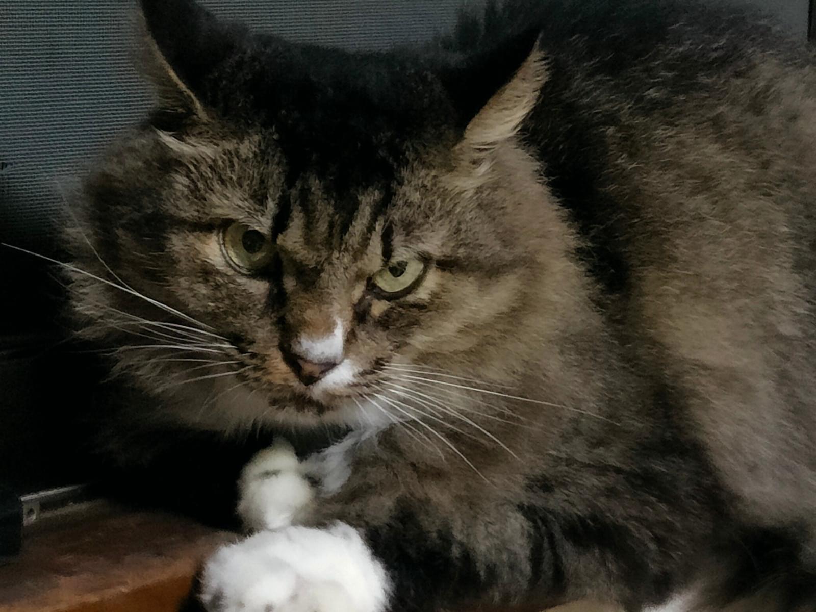 そらちゃん そらちゃん