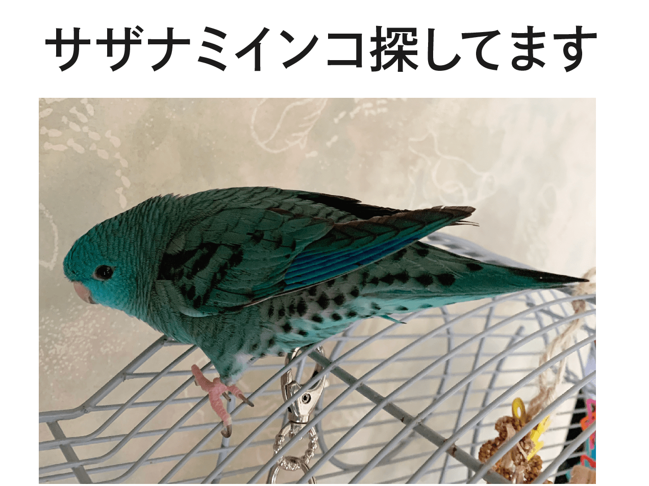 マチュちゃん マチュちゃん