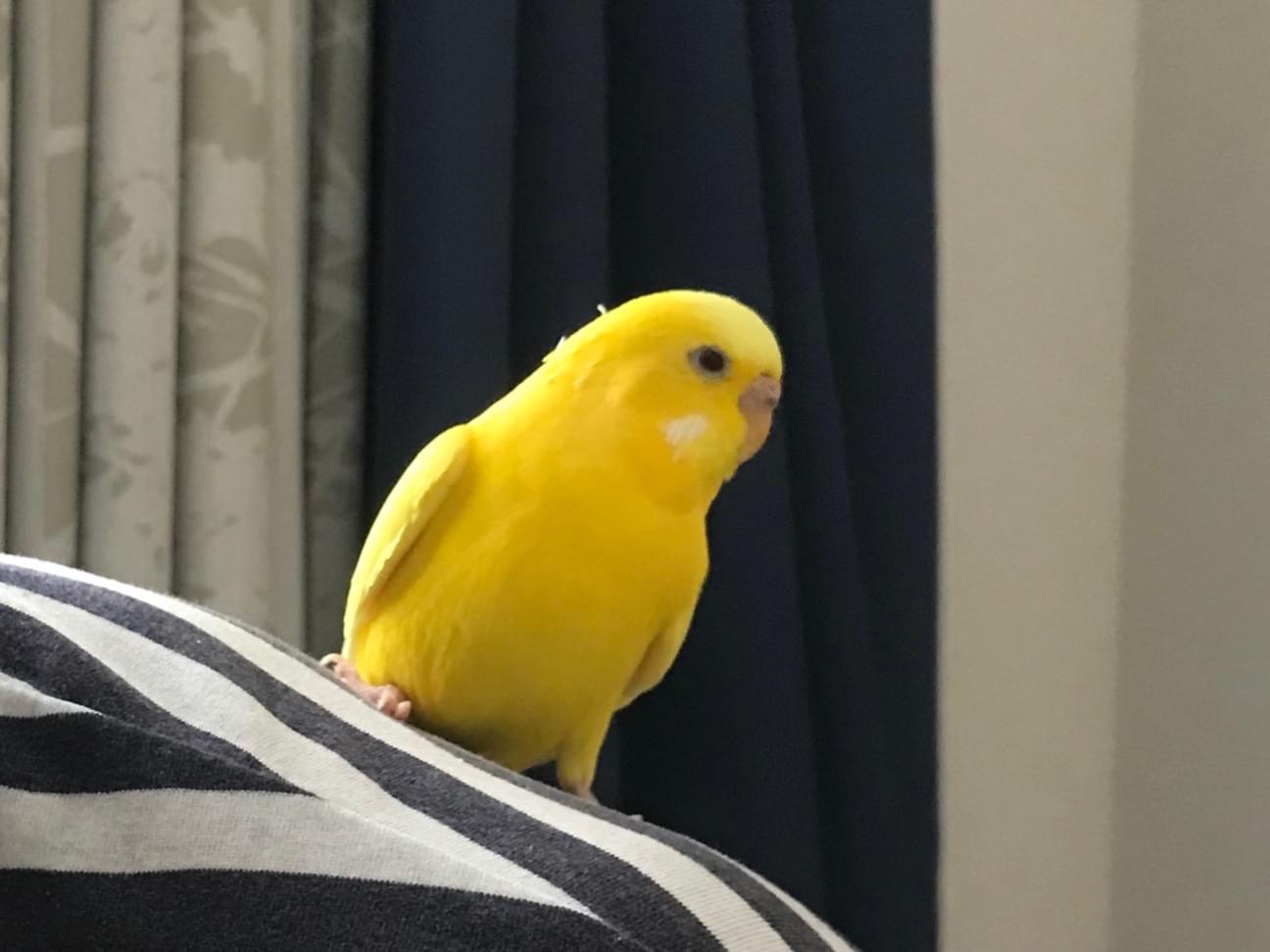 キキちゃん キキちゃん