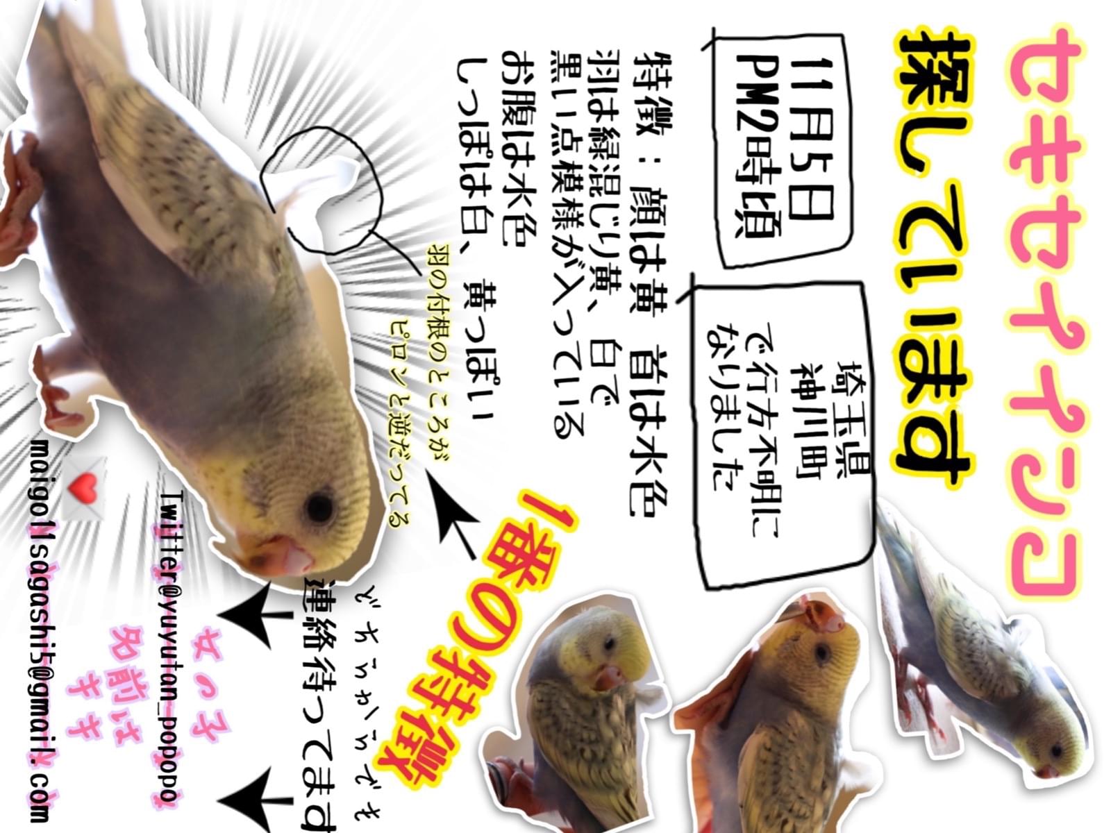 キキちゃん キキちゃん