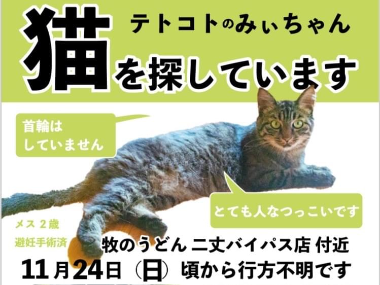 みぃちゃん みぃちゃん