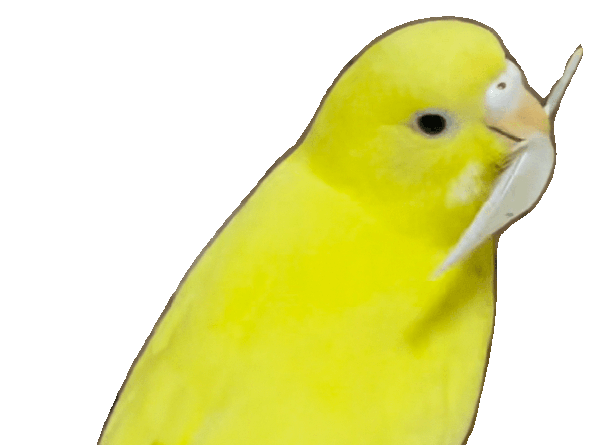 ピノちゃん ピノちゃん