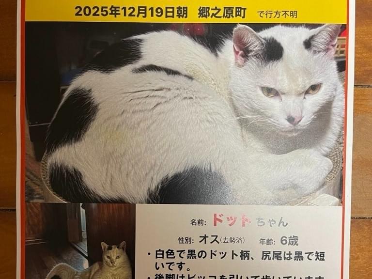 ドットちゃん ドットちゃん