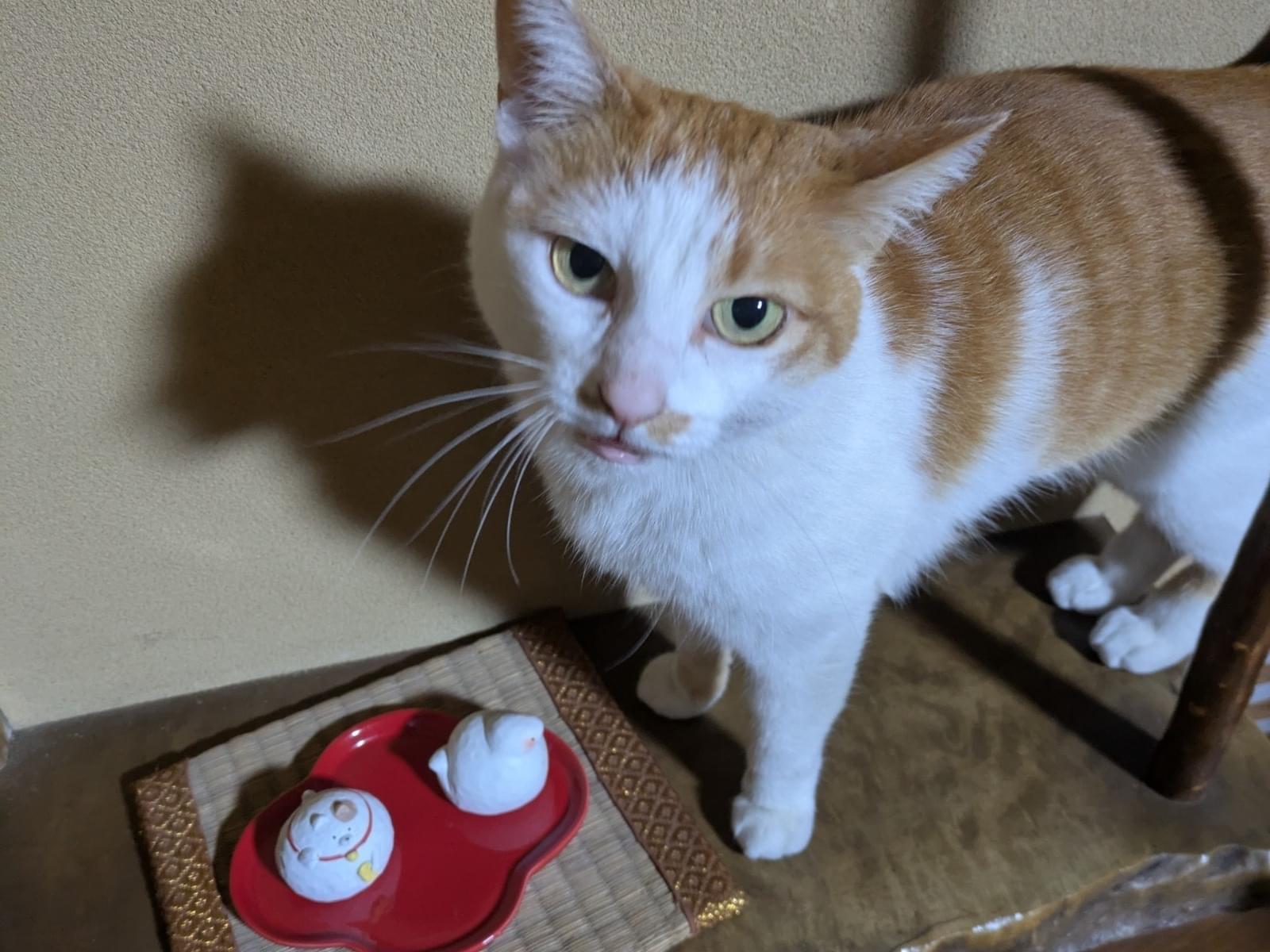 さくらちゃん
