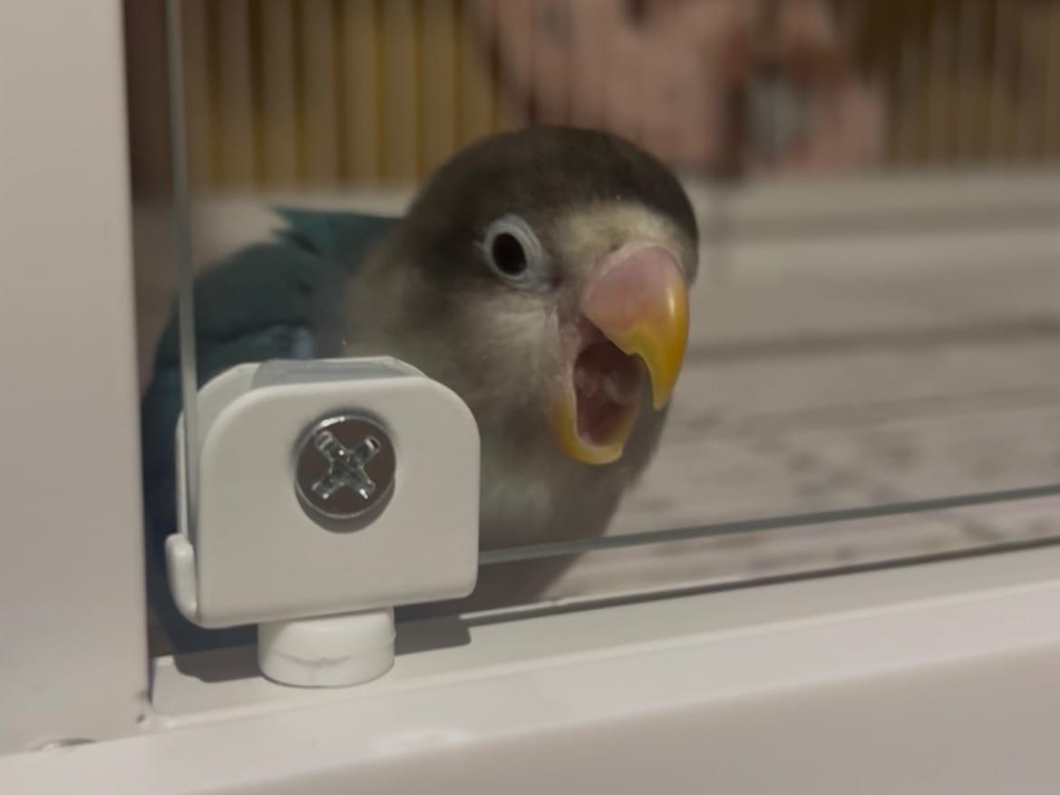 ぴーちゃん ぴーちゃん