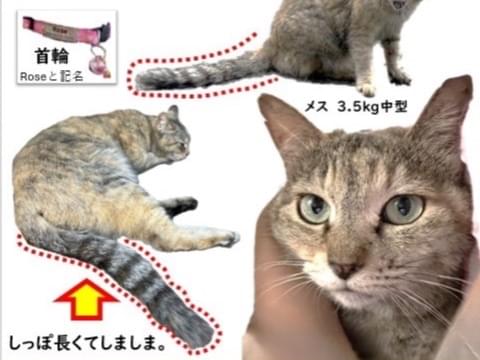 みーちゃん みーちゃん