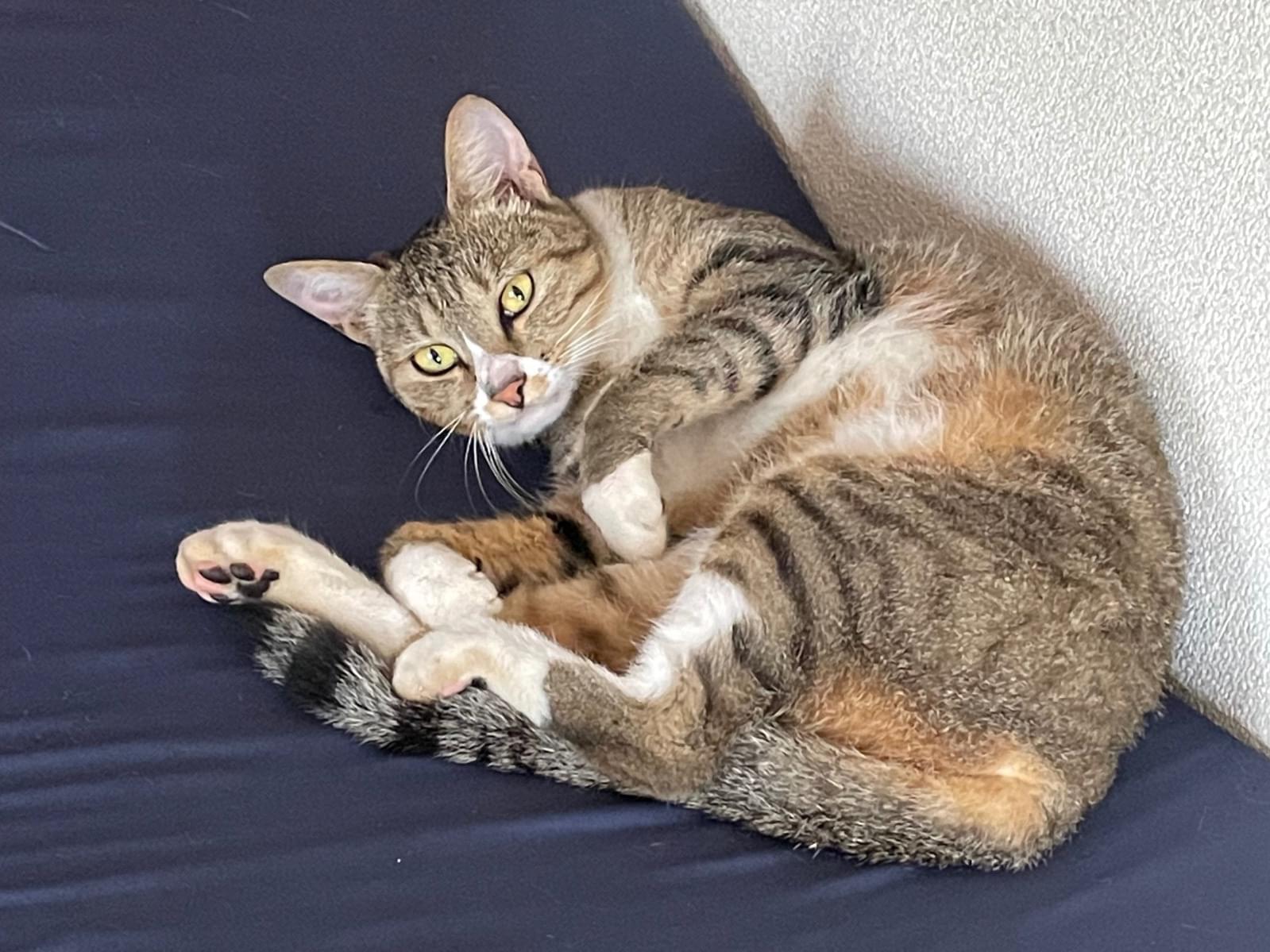 マリちゃん マリちゃん