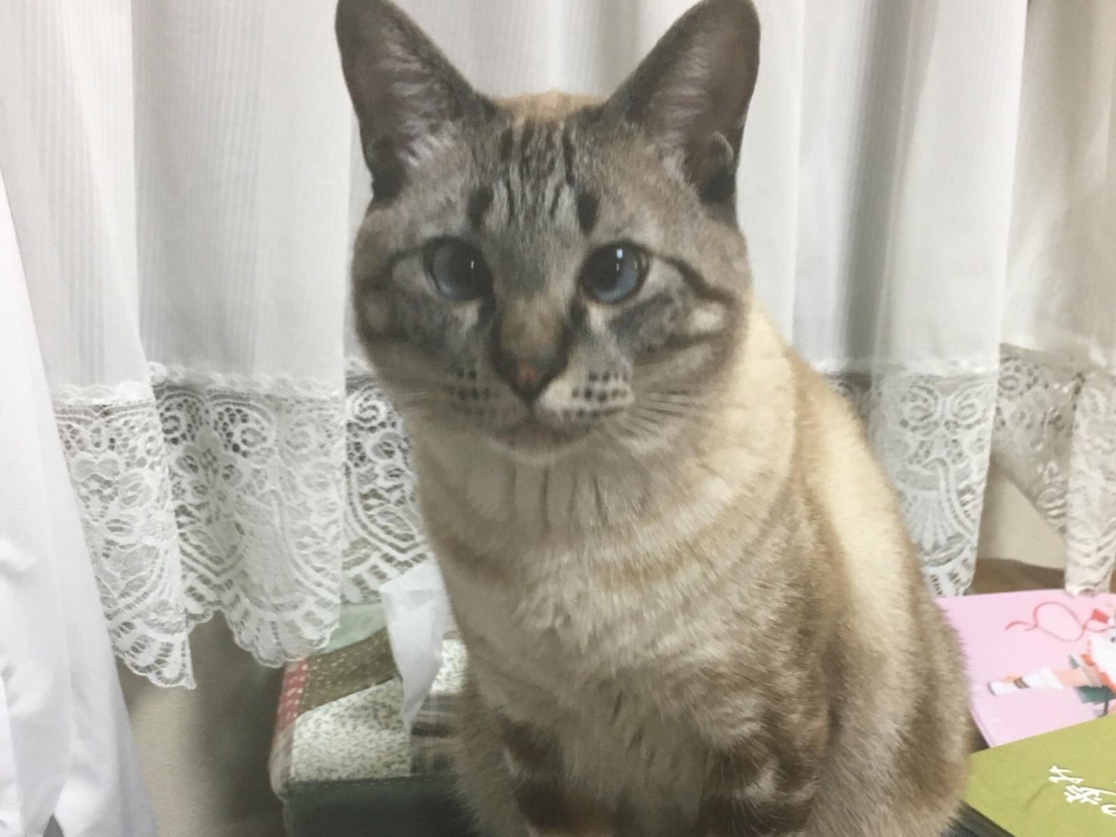 かんちゃん かんちゃん