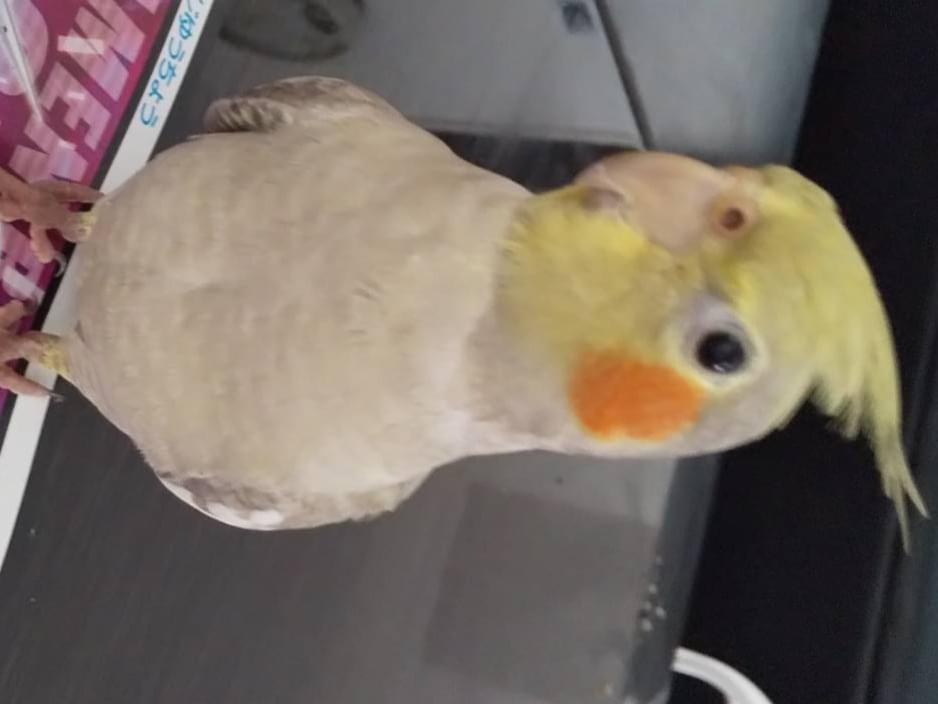 あさりちゃん あさりちゃん