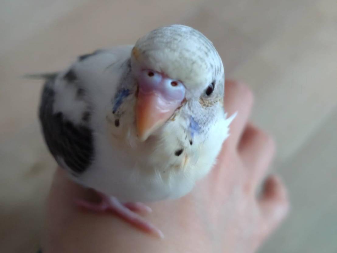 くぅちゃん くぅちゃん