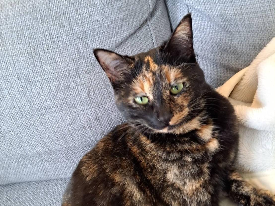 すももちゃん すももちゃん