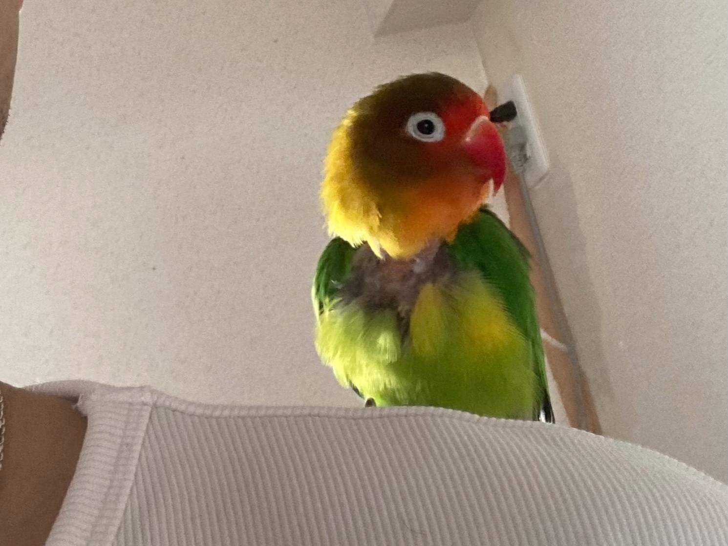 テミちゃん テミちゃん