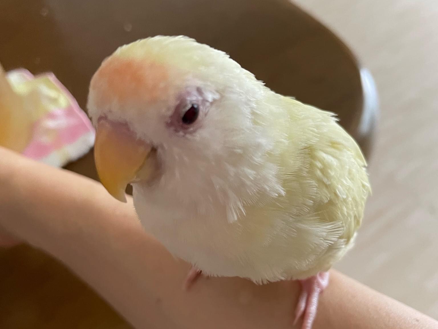 べべちゃん べべちゃん