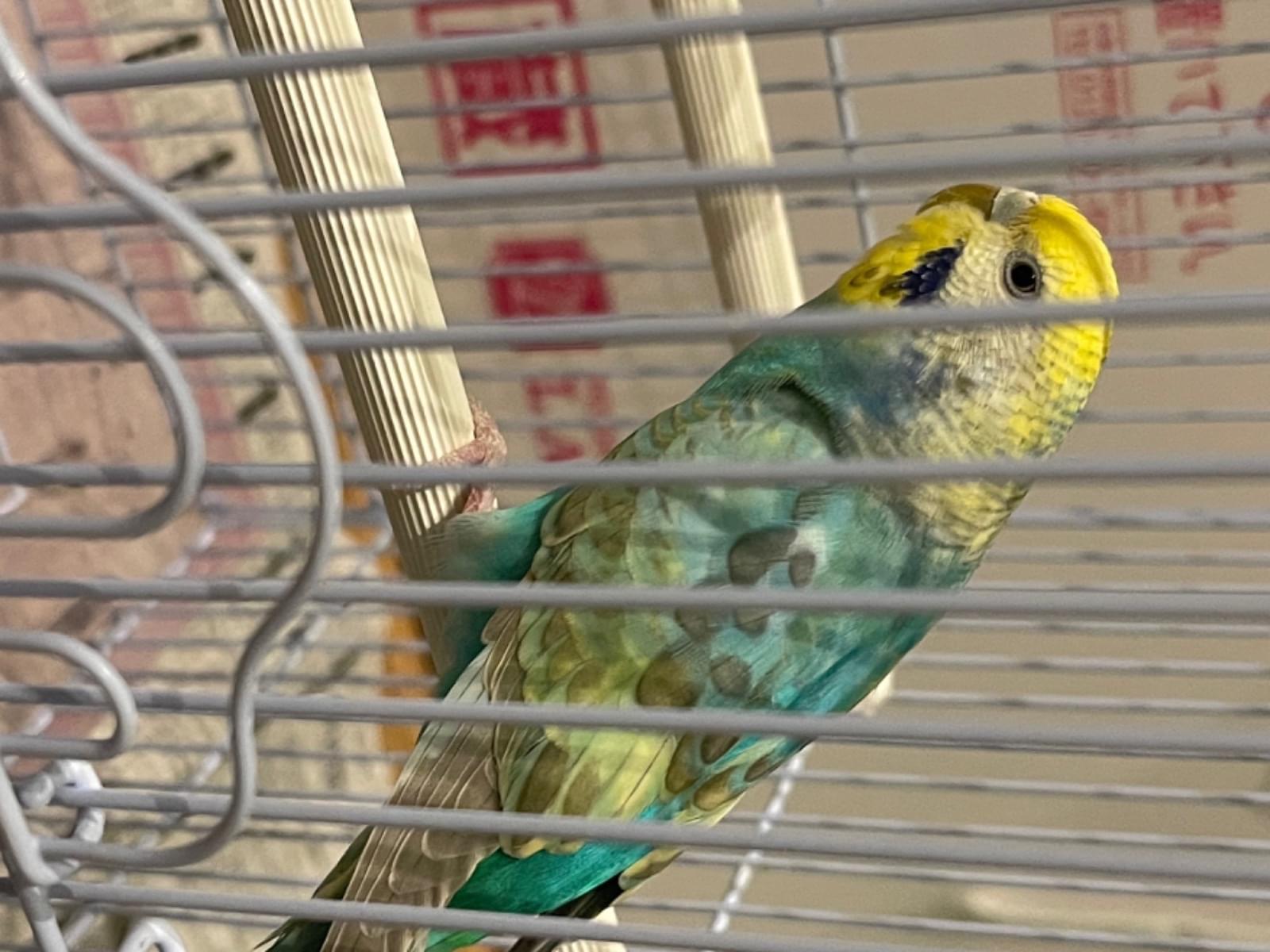 そらちゃん そらちゃん