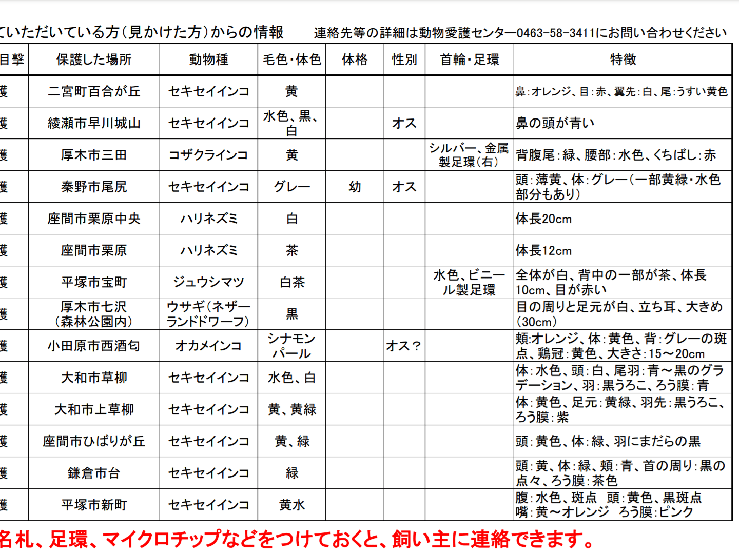 保護されたペット 保護されたペット