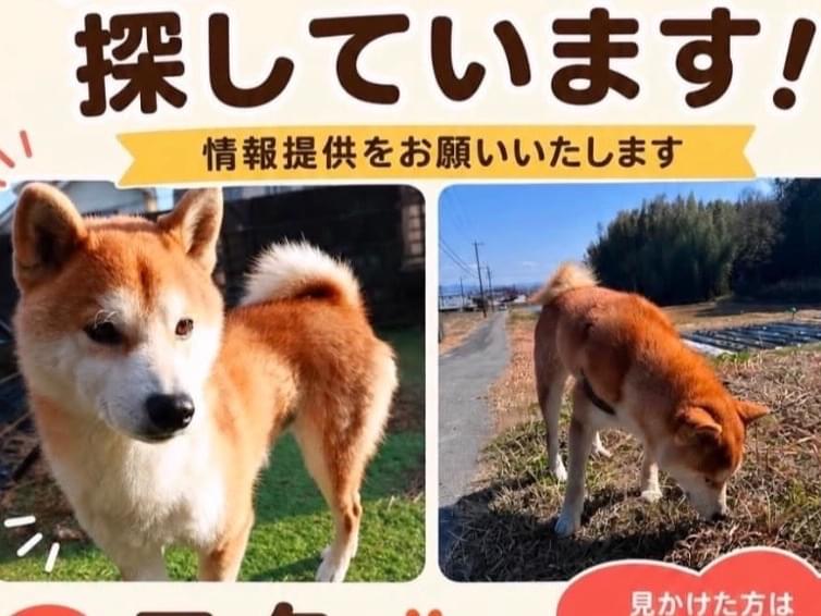 こたちゃん