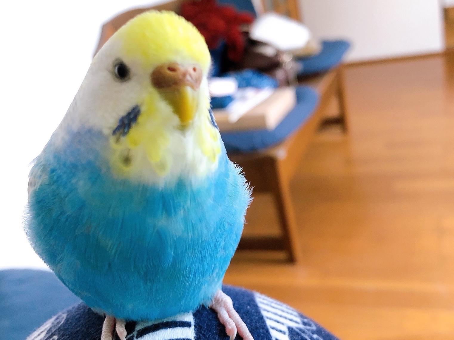 そらちゃん そらちゃん