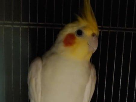ゆきちゃん ゆきちゃん