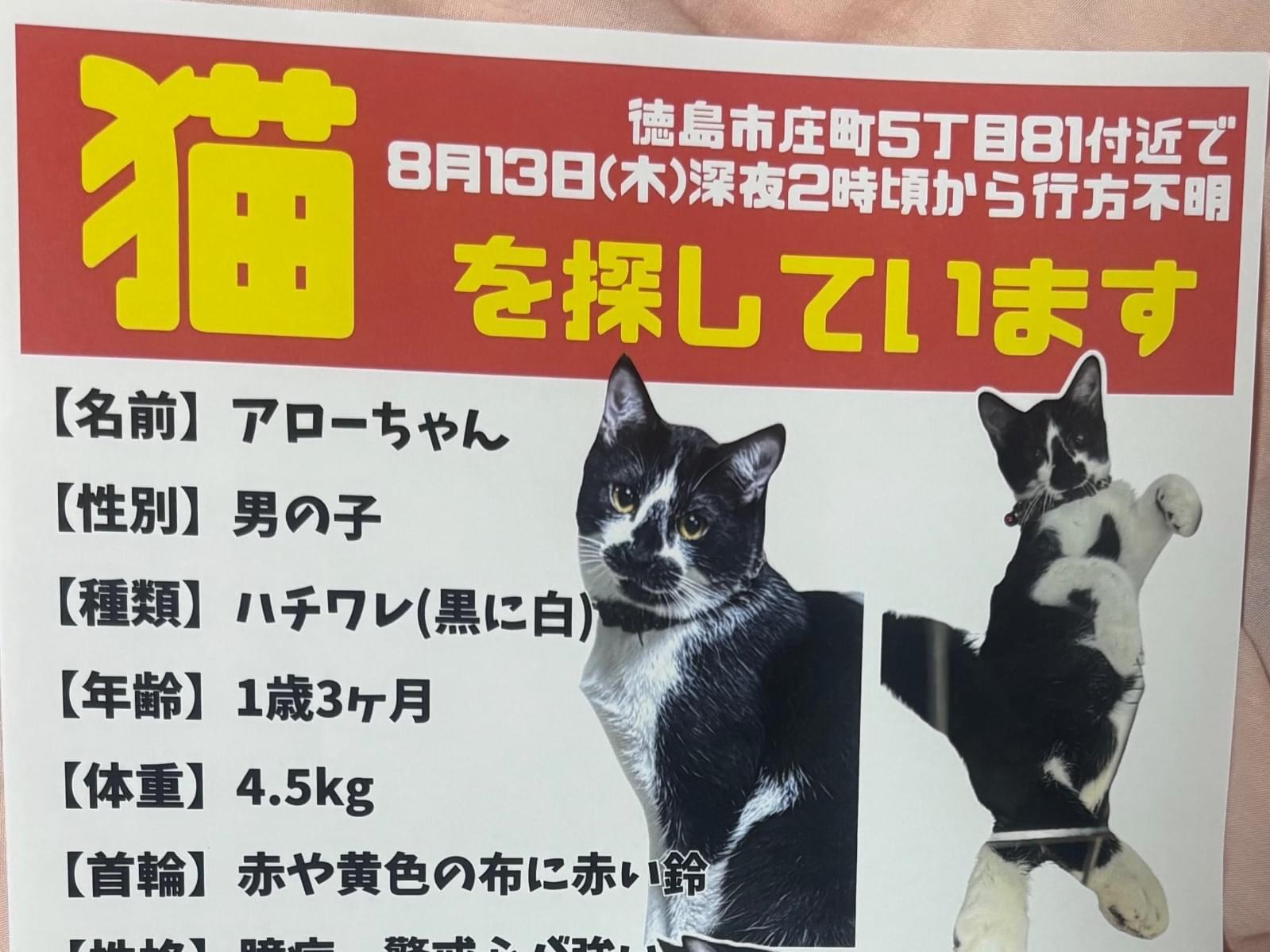 アローちゃん