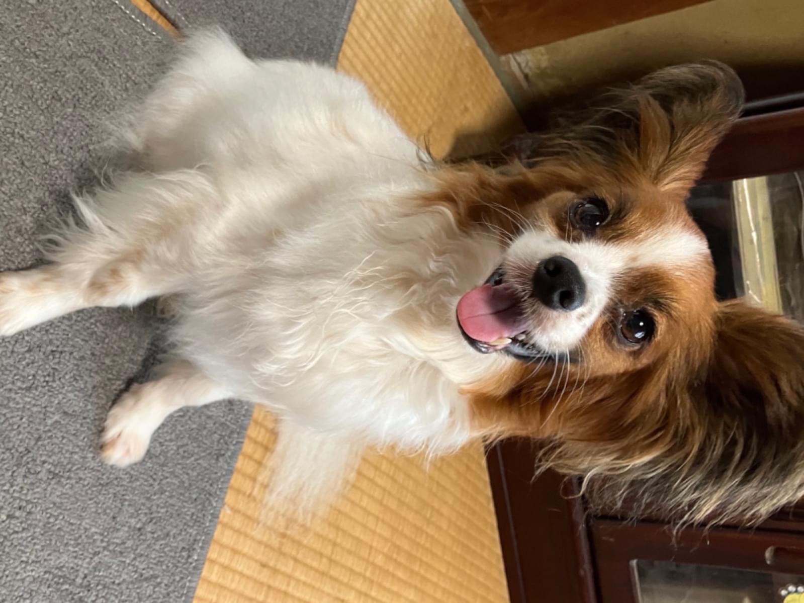 ありさちゃん ありさちゃん
