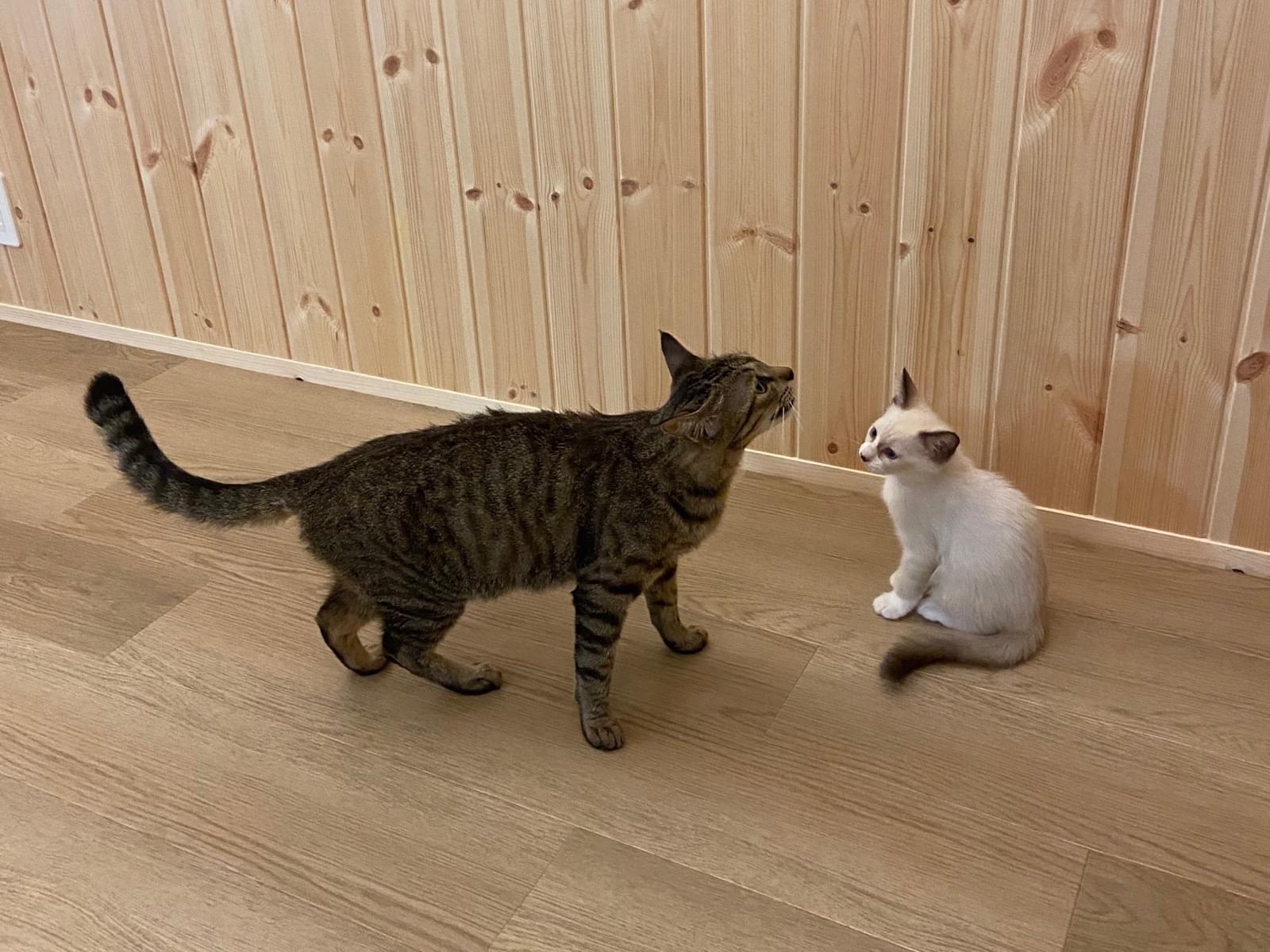 ちびちゃん ちびちゃん