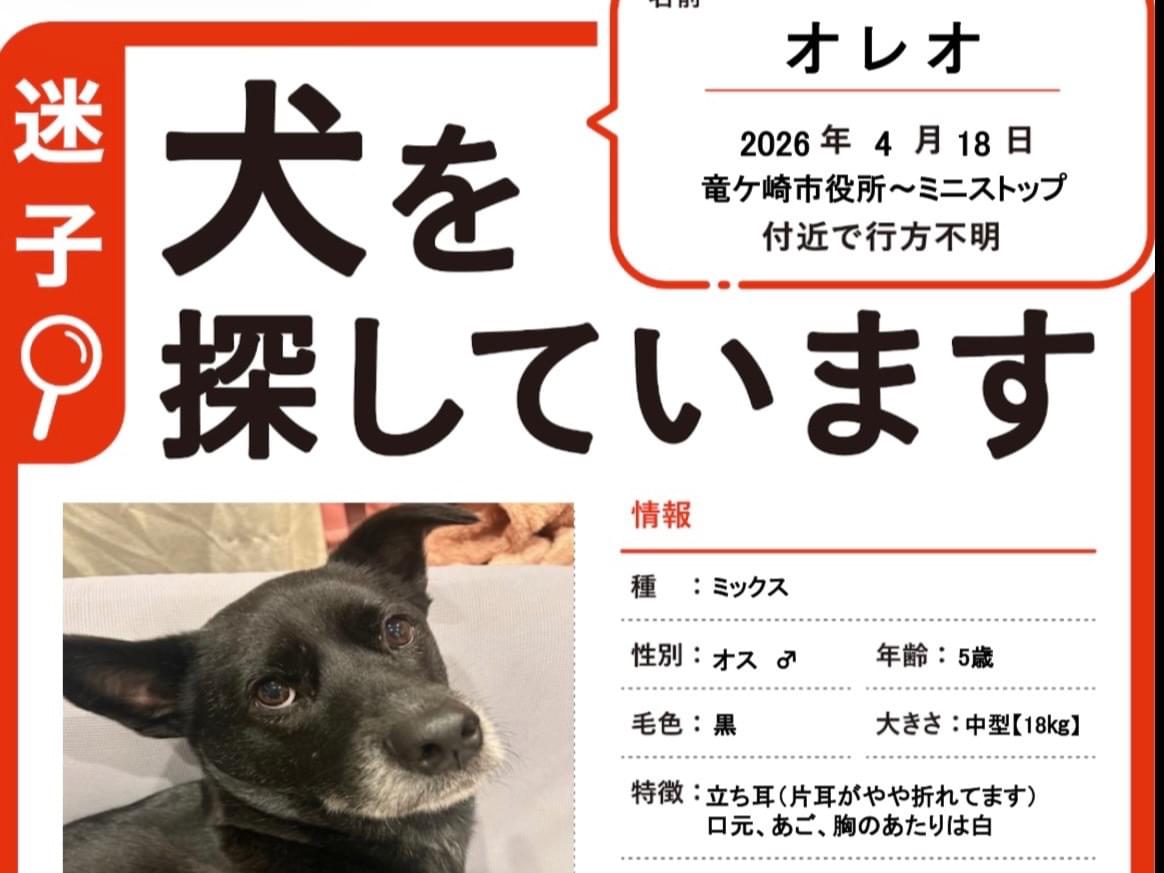 オレオちゃん