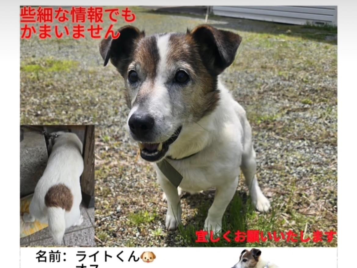 ライトちゃん ライトちゃん