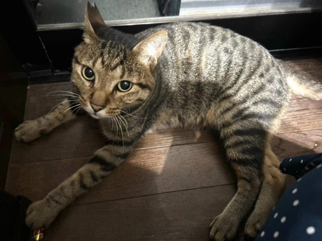 ふみちゃん ふみちゃん