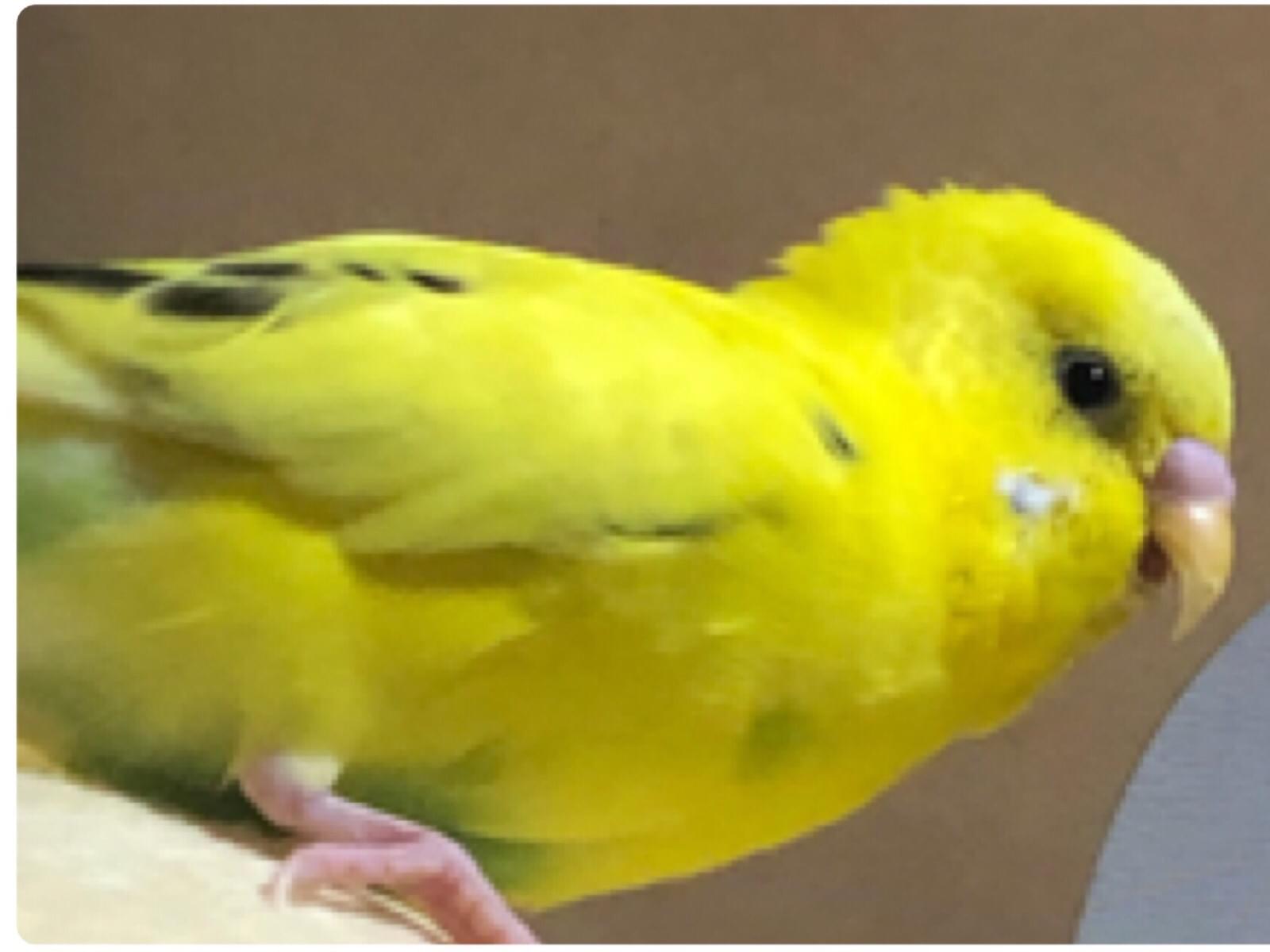 キキちゃん キキちゃん