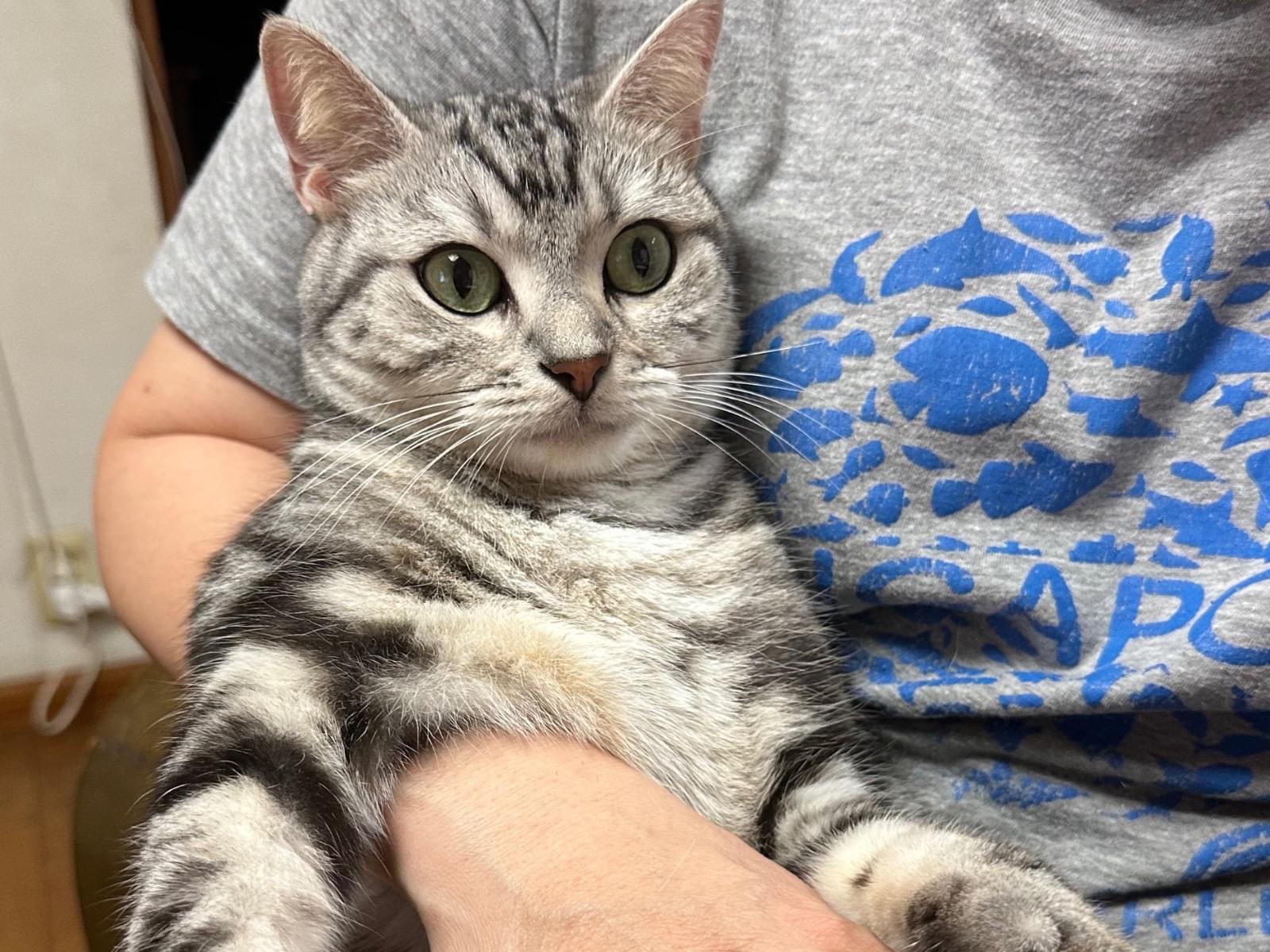 ビビちゃん ビビちゃん