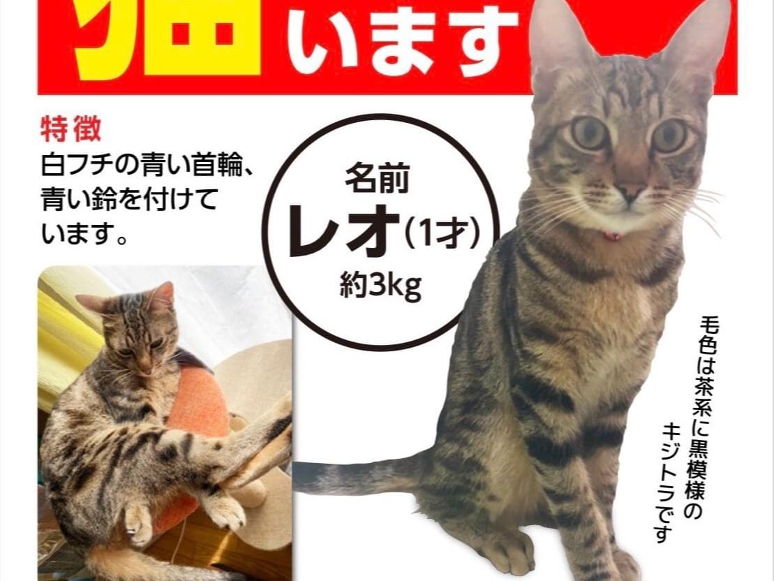 レオちゃん レオちゃん