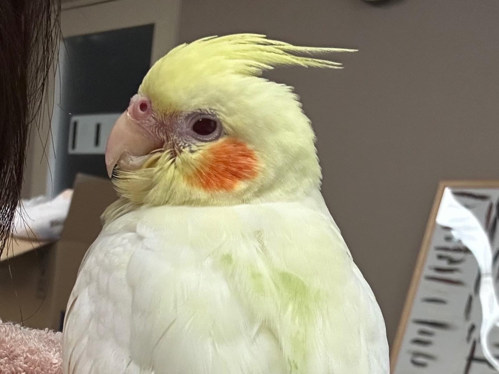 あさひちゃん あさひちゃん