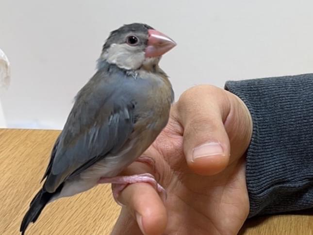 poちゃん poちゃん