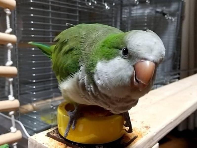 めいちゃん めいちゃん