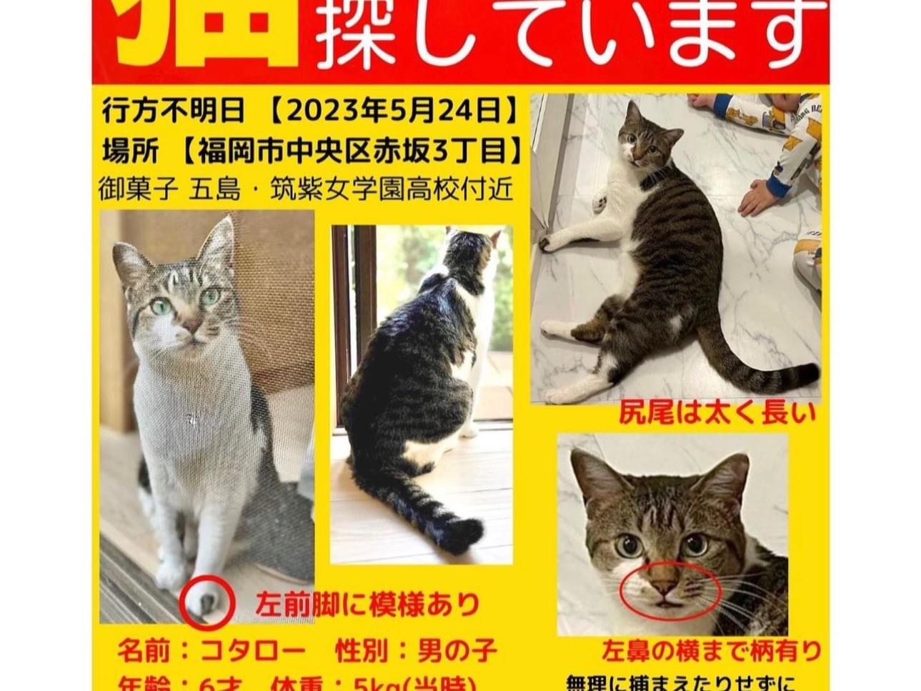 コタローちゃん コタローちゃん