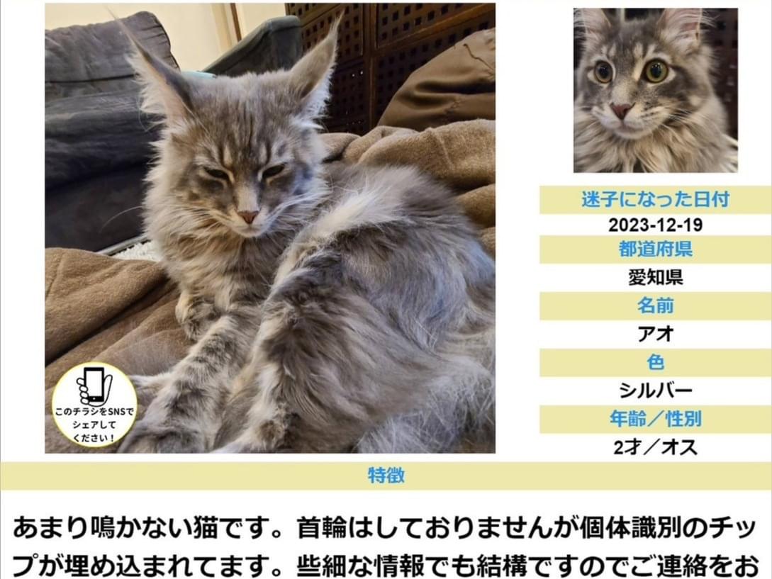 アオちゃん アオちゃん